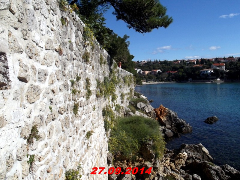 DSCF1288