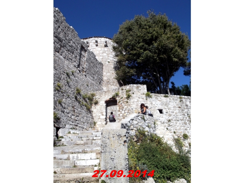 DSCF1293