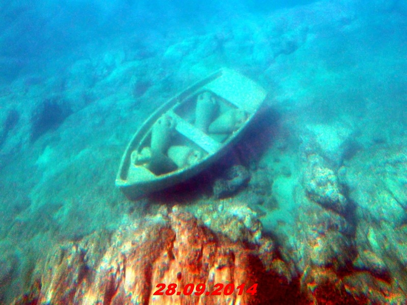 DSCF1314