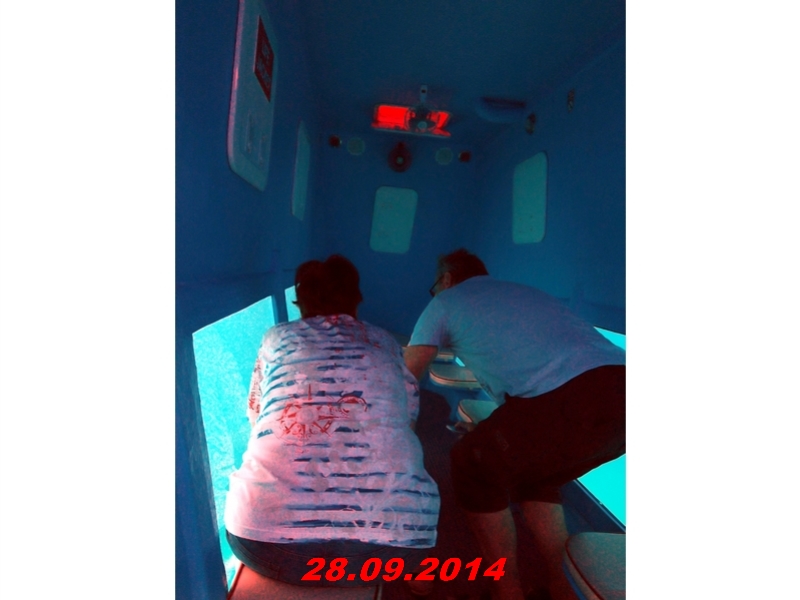 DSCF1316