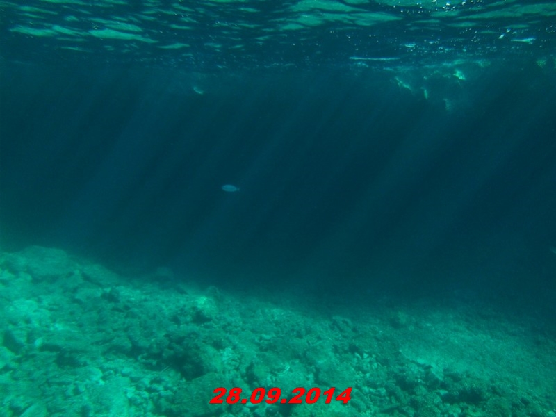 DSCF1339