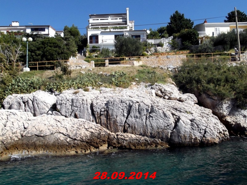 DSCF1346