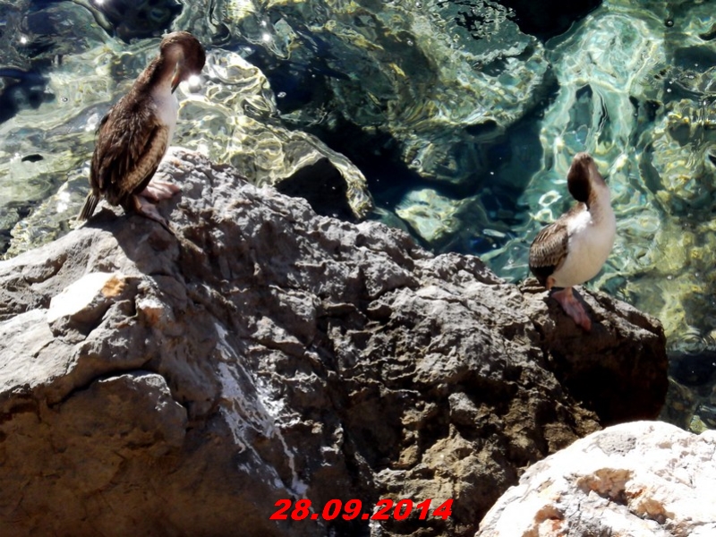 DSCF1357