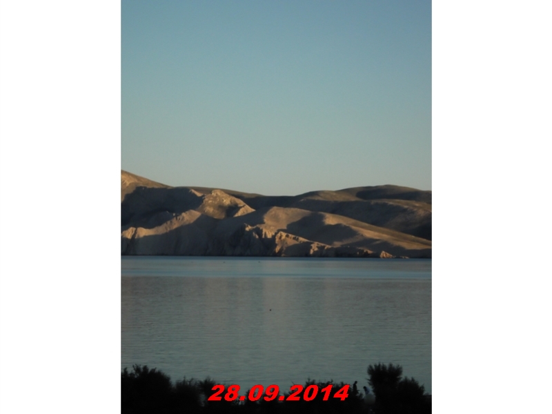DSCF1366