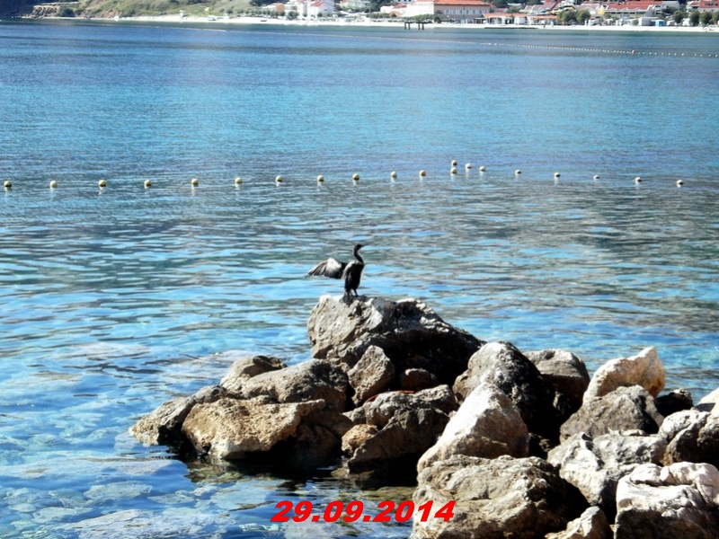 DSCF1373