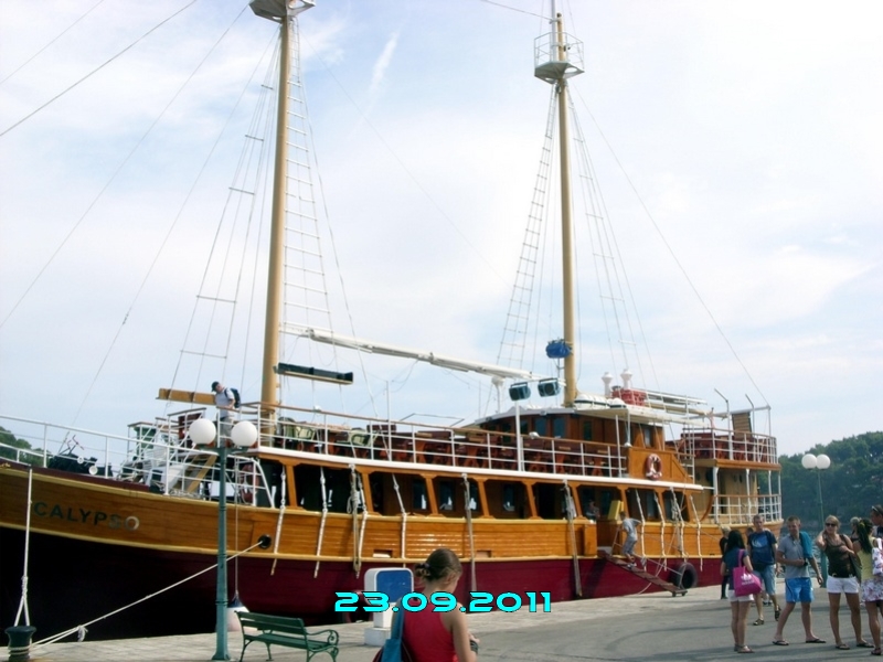 SN850088