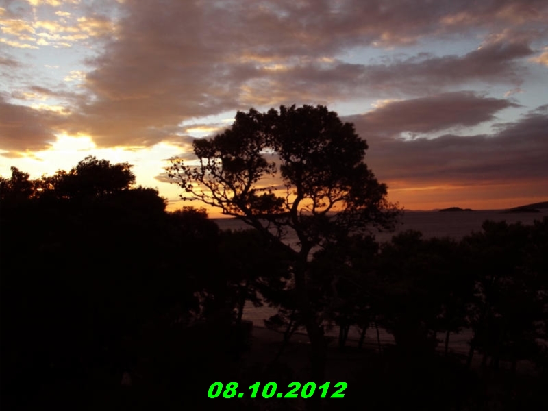 DSCF0429