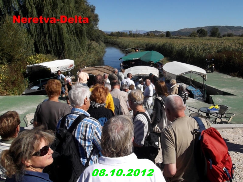 DSCF0449