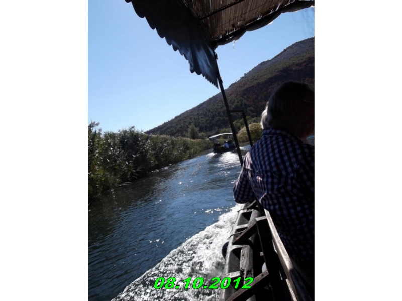 DSCF0453