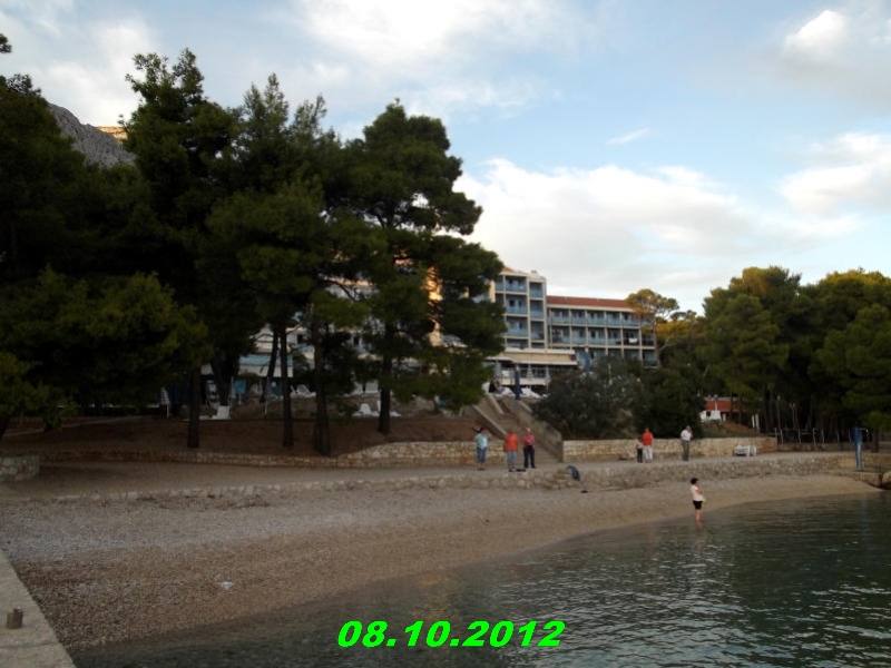 DSCF0465