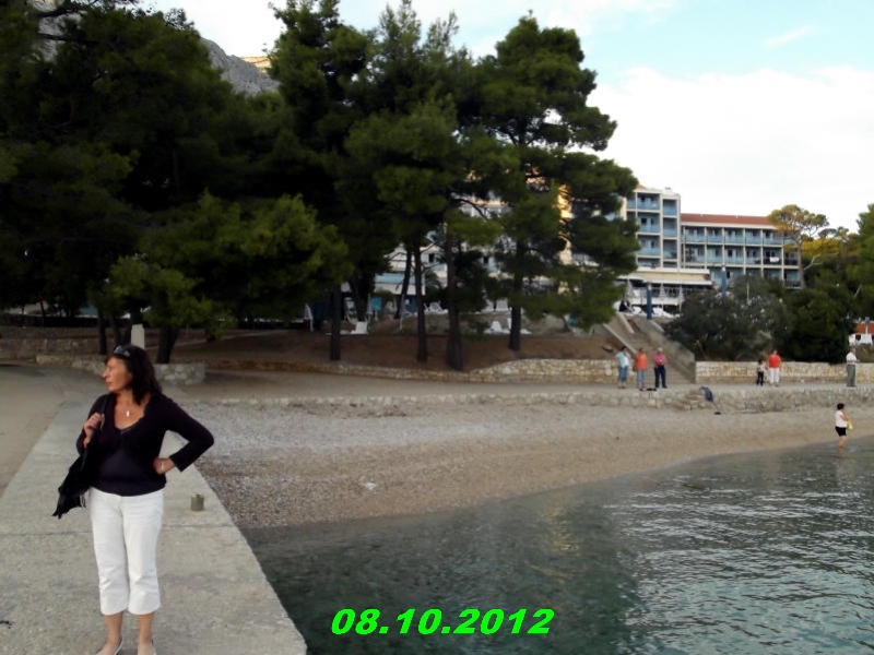 DSCF0466