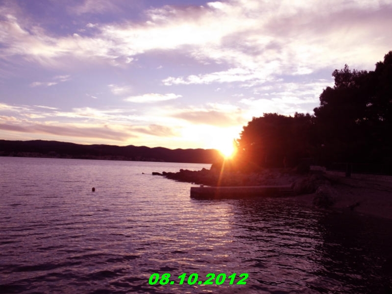 DSCF0467
