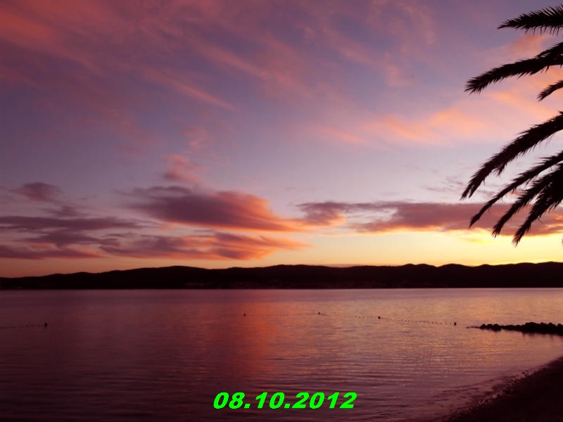 DSCF0468