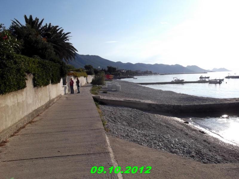 DSCF0481