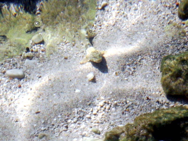 DSCF0519_1