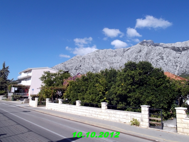 DSCF0521
