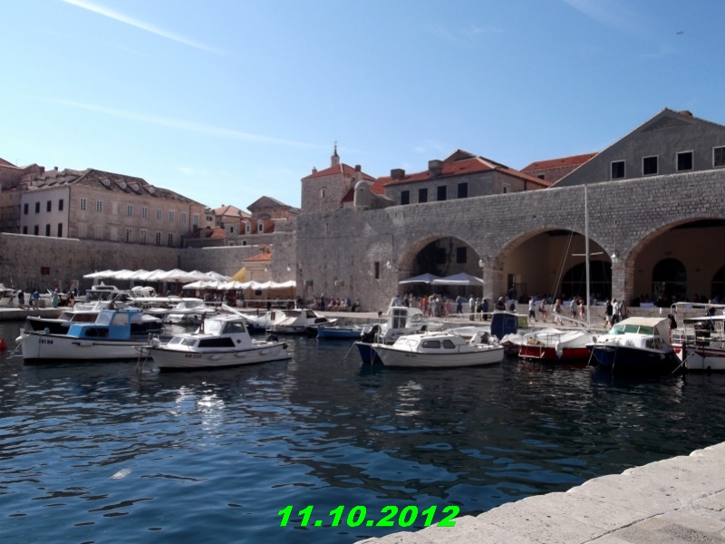 DSCF0555