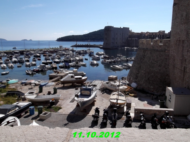 DSCF0559