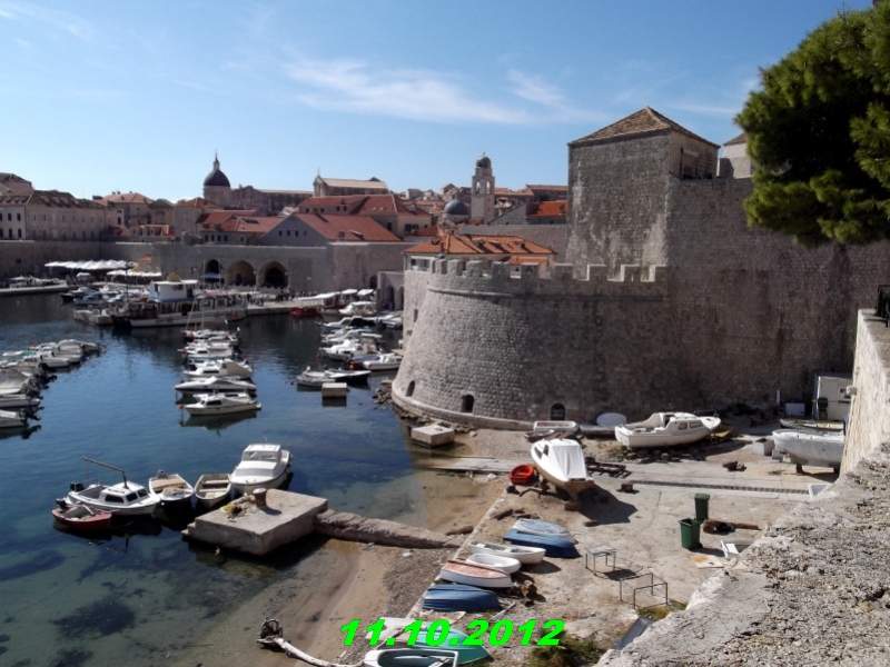 DSCF0560