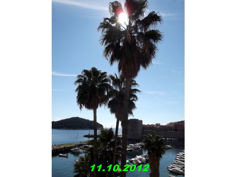 DSCF0564