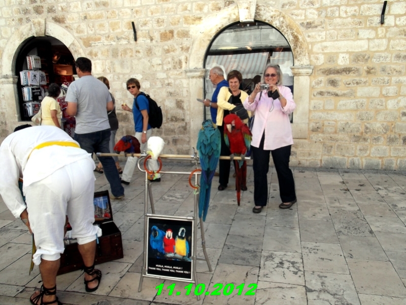 DSCF0569