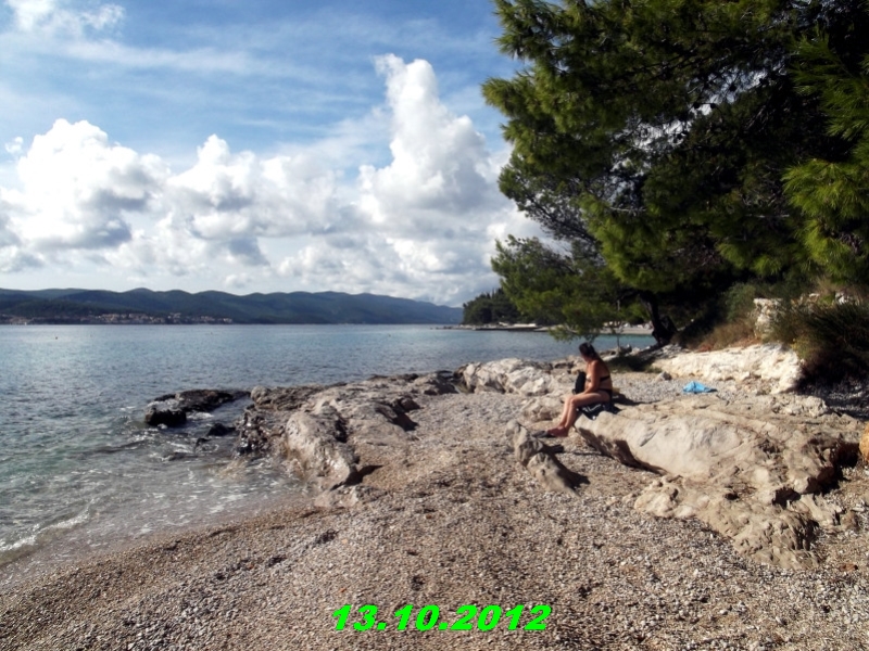 DSCF0617