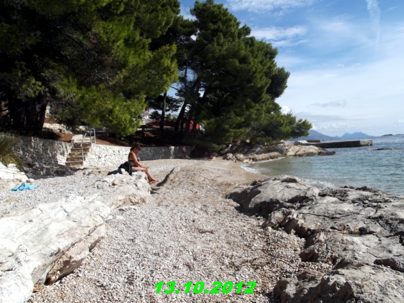 DSCF0619