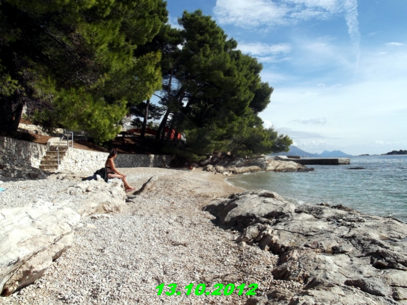 DSCF0620