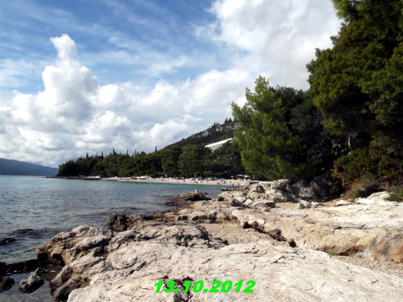 DSCF0621