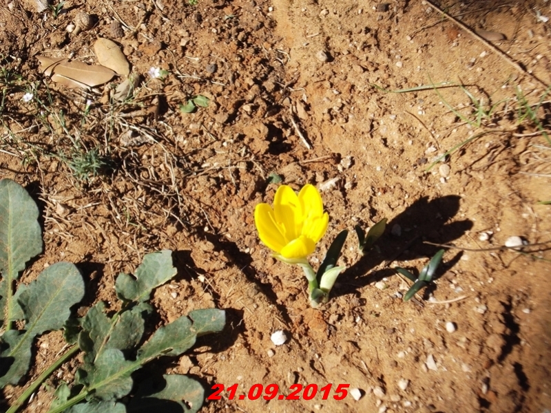 dscf1526