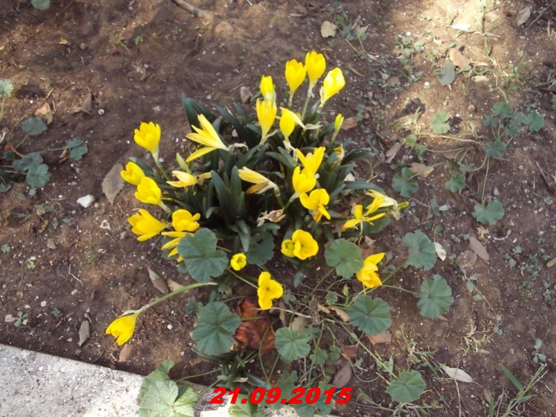 dscf1527