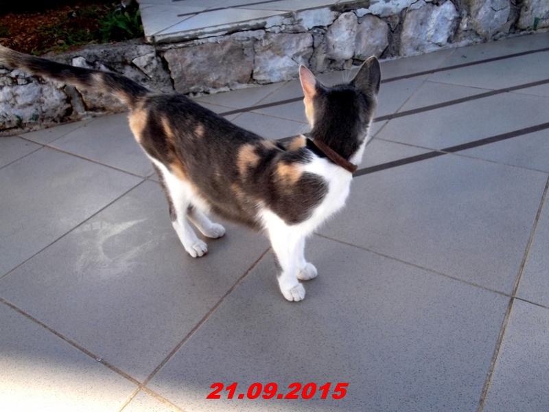 dscf1529