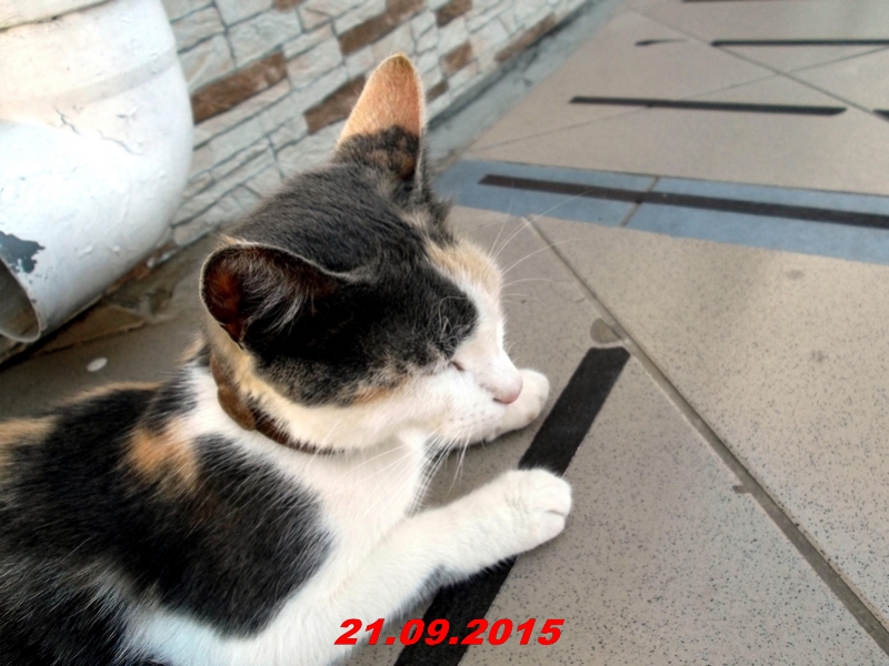 dscf1534