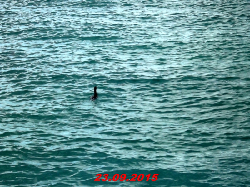 dscf1568