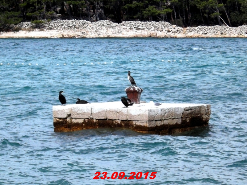 dscf1577