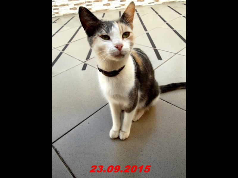 dscf1579