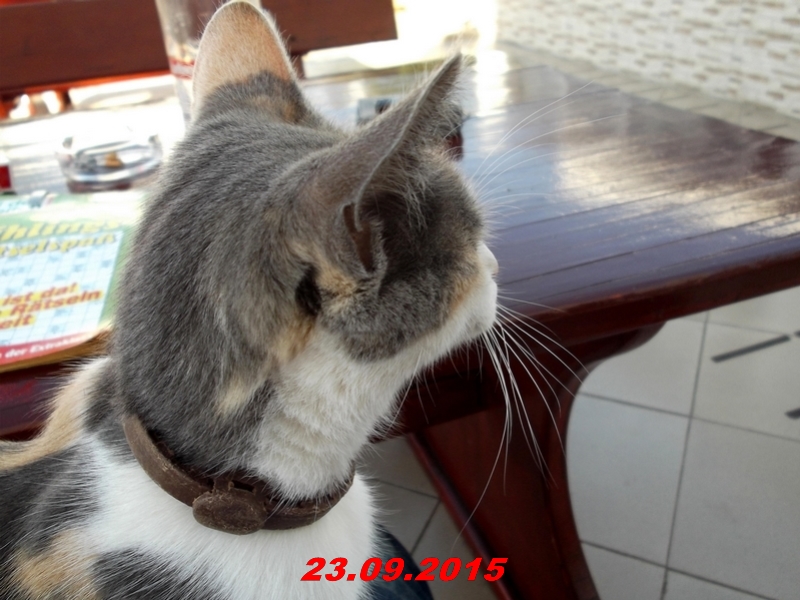 dscf1581