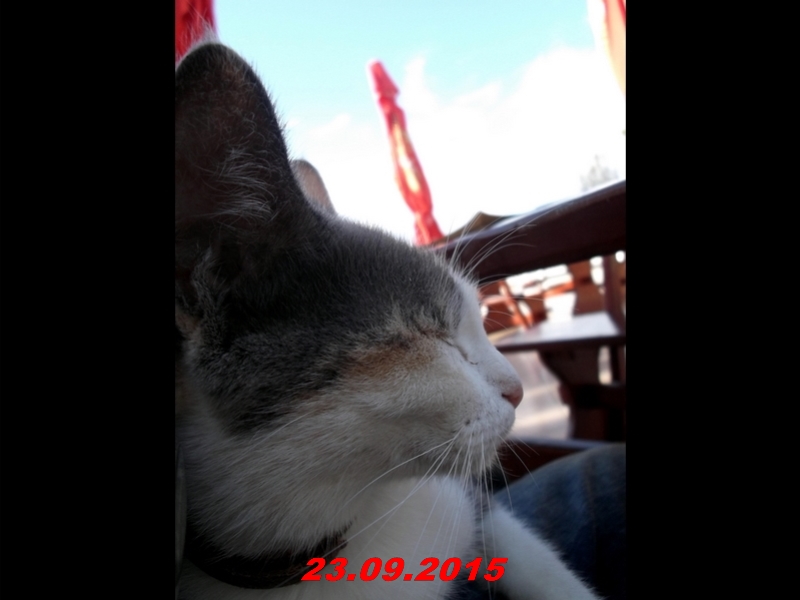 dscf1585
