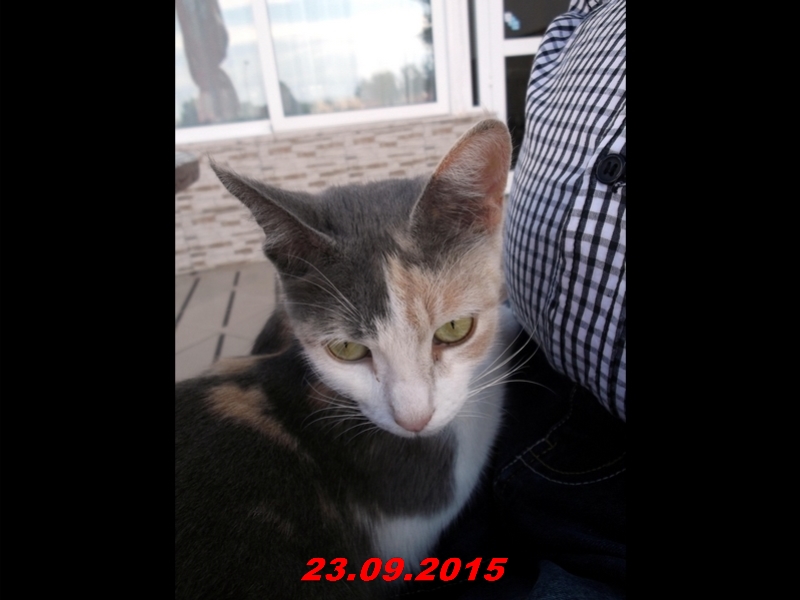 dscf1588