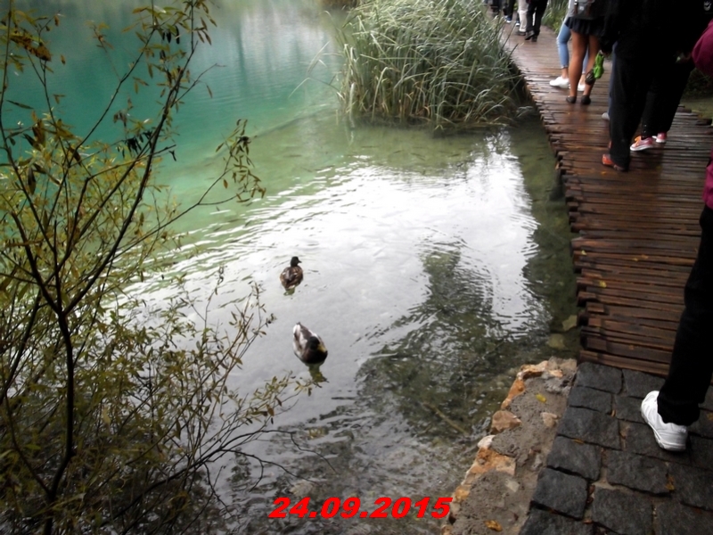 dscf1603