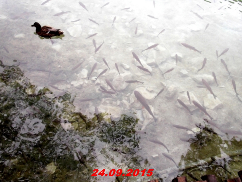 dscf1604
