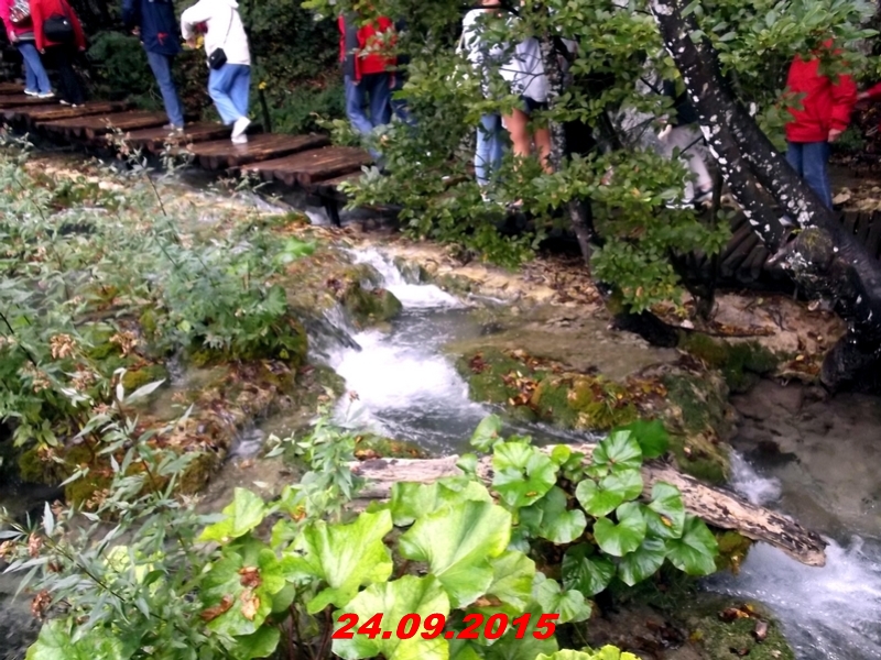 dscf1606