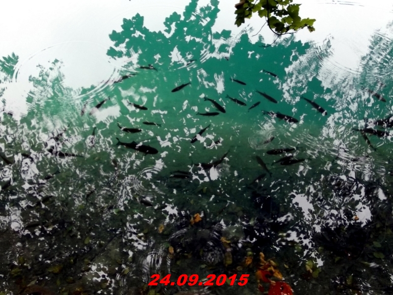 dscf1608