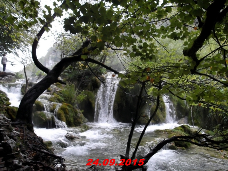 dscf1624