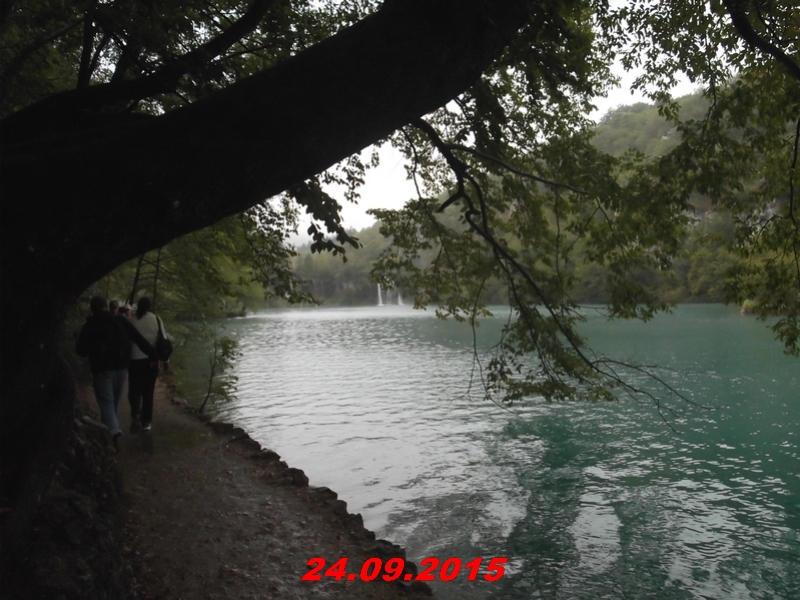 dscf1631