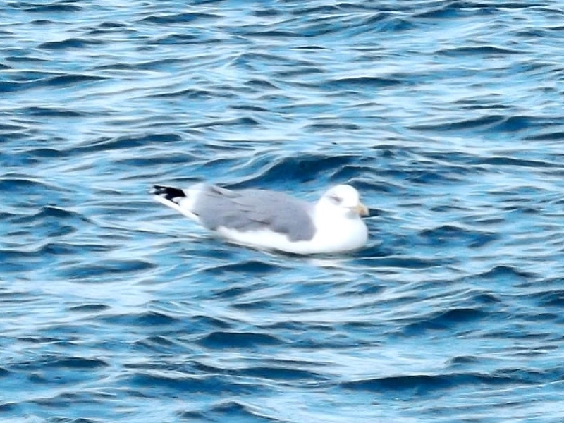 dscf1643