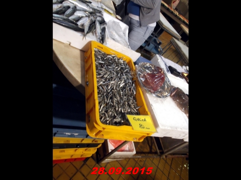 dscf1664