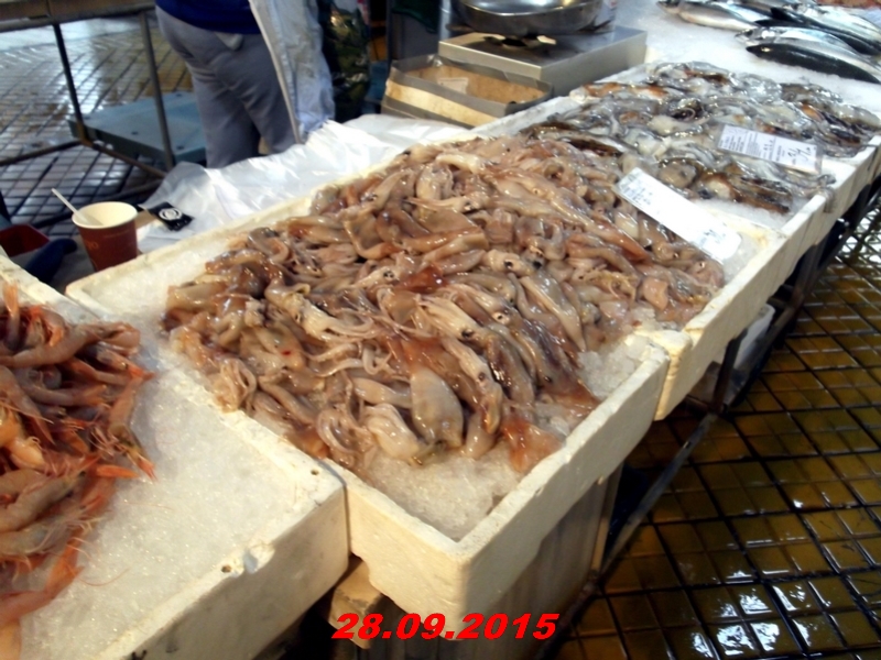 dscf1668