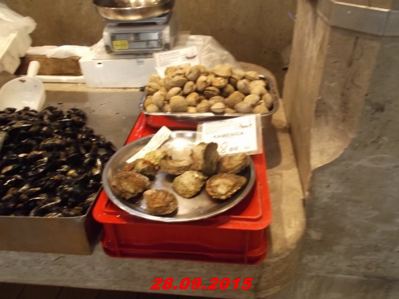 dscf1669