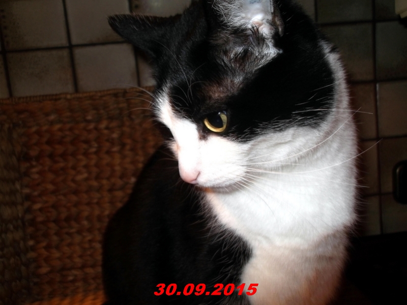 dscf1699